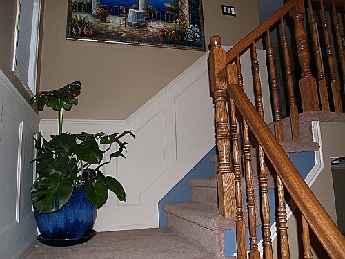 Straight wainscoting that merges perfectly with flexible wainscoting on stairs