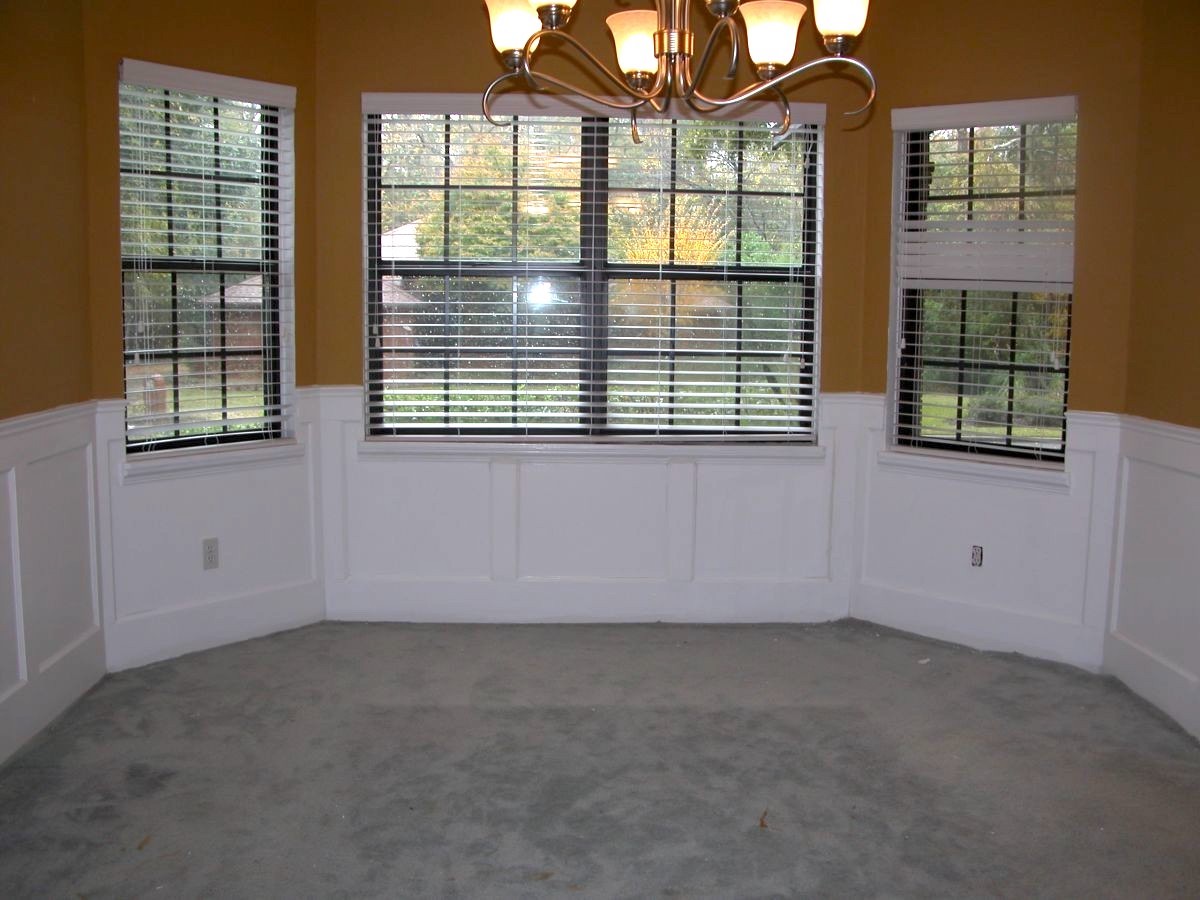 white wainscoting without panels in room with carpet