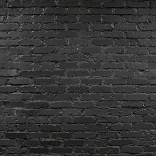 BRIK by Quality Stone  Simply Black Faux Brick Panels